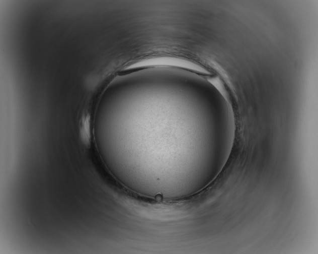 X0000094820020200711161537