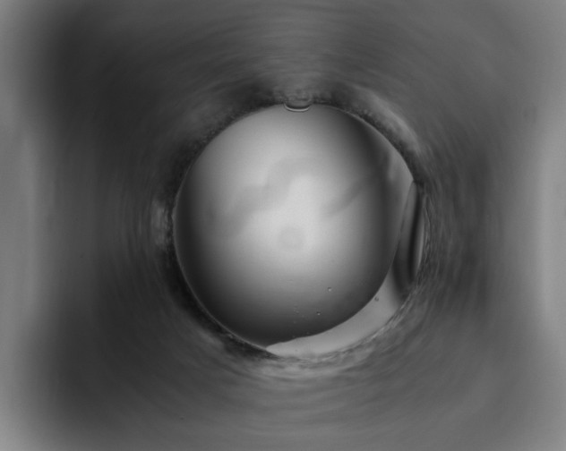 X0000094820025200711161537