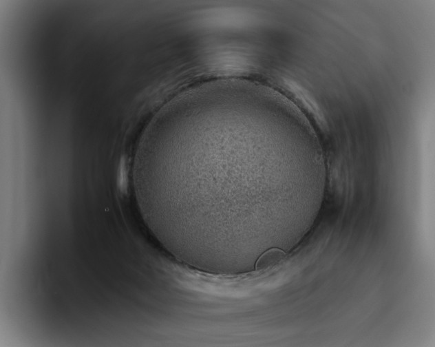 X0000094820026200711161537