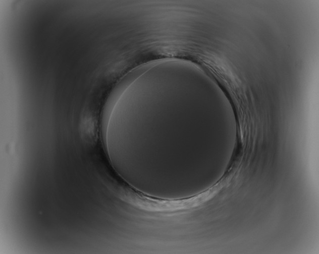 X0000094820031200711161537