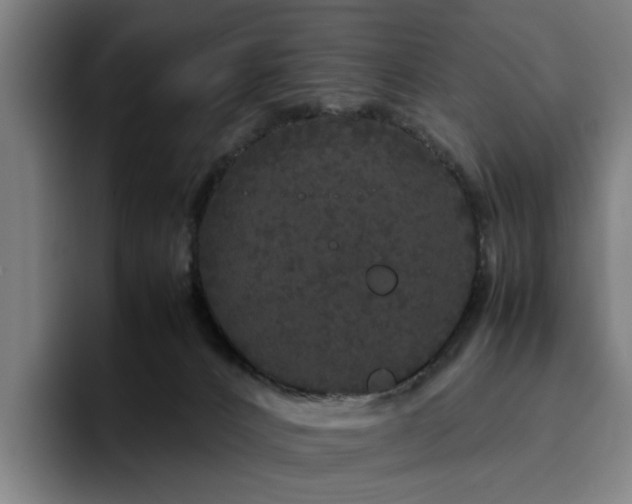 X0000094820032200711161537