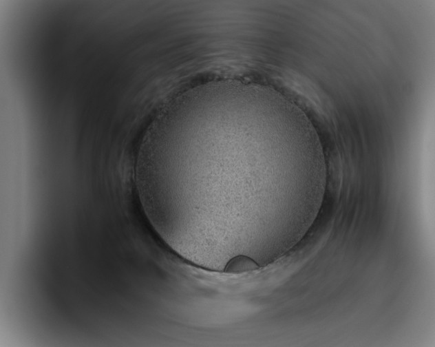 X0000094820034200711161537
