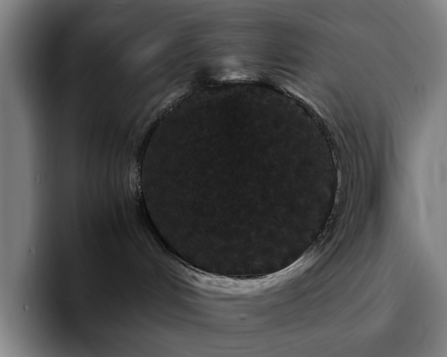 X0000094820048200711161536