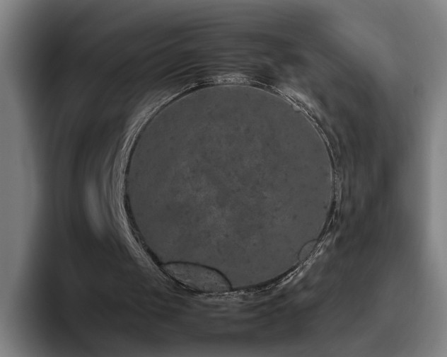 X0000094820049200711161536