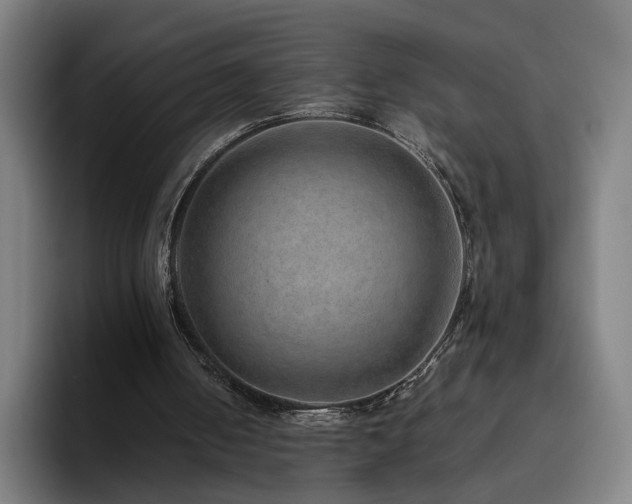 X0000094820050200711161536