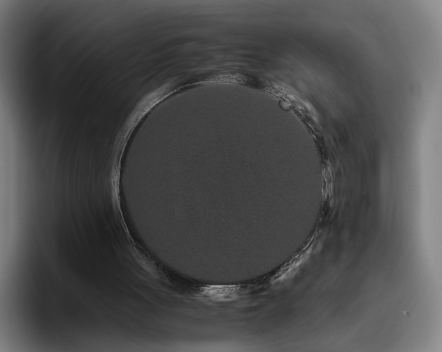 X0000094820051200711161536