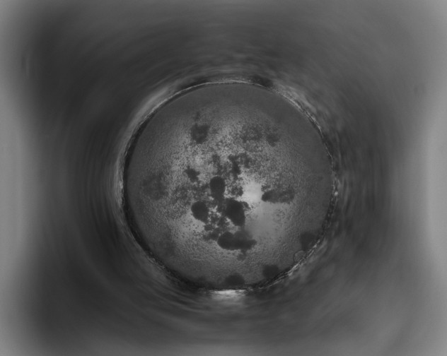 X0000094820053200711161536