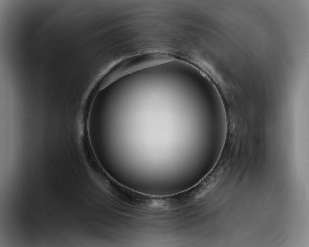 X0000094820060200711161536