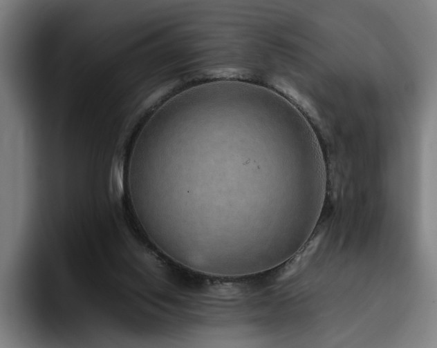 X0000094820062200711161536
