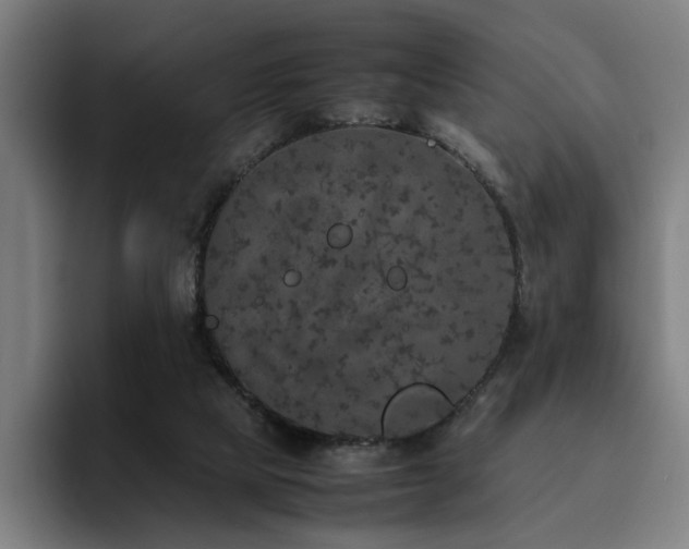X0000094820065200711161536