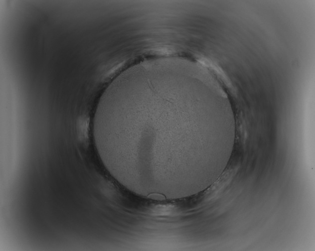 X0000094820066200711161536