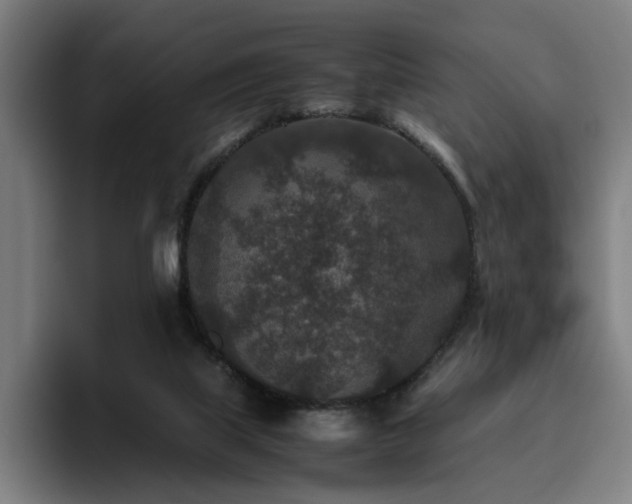 X0000094820067200711161536