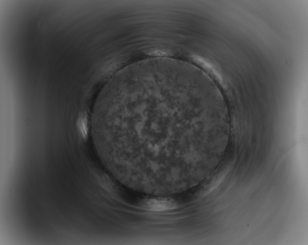 X0000094820069200711161536