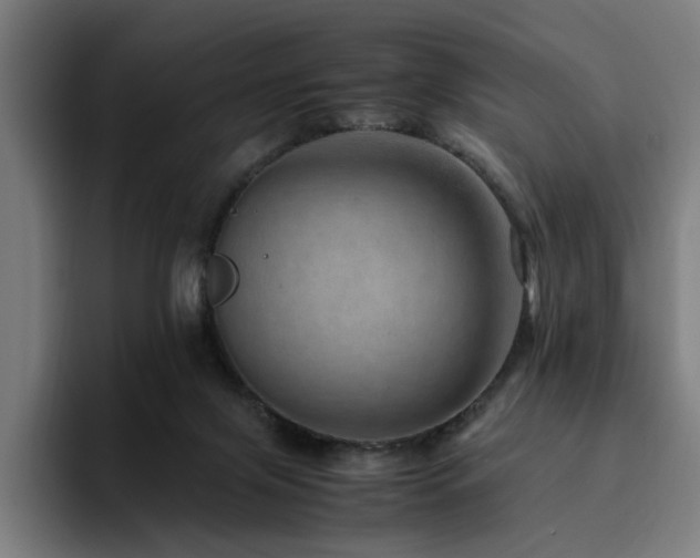 X0000094820071200711161536