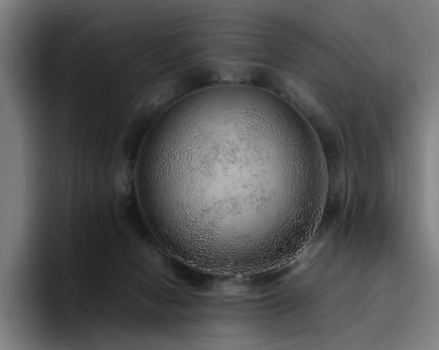 X0000094820078200711161536