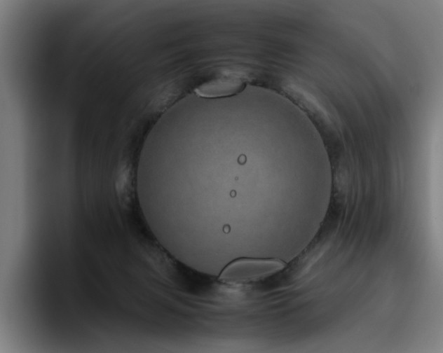 X0000094820079200711161536