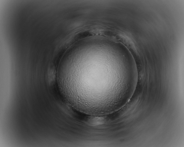 X0000094820081200711161536