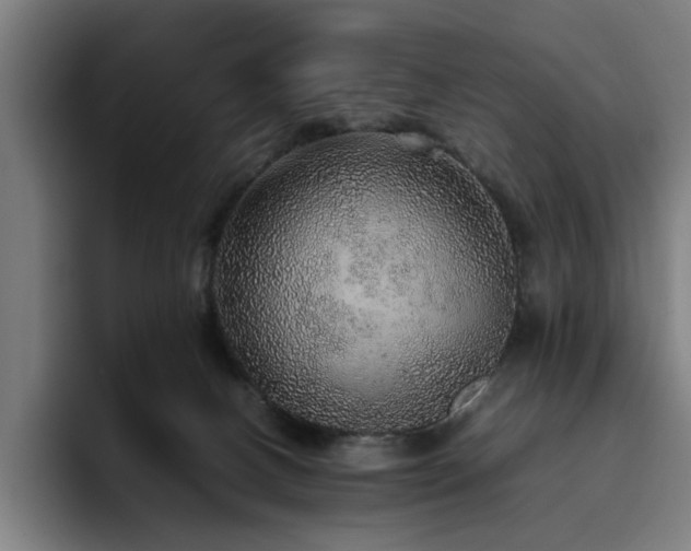 X0000094820082200711161536