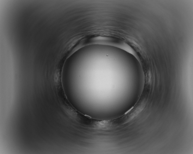 X0000094820092200711161536