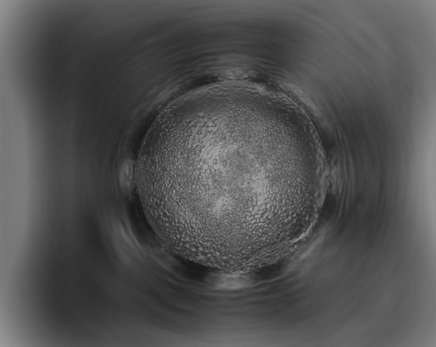 X0000094820093200711161536
