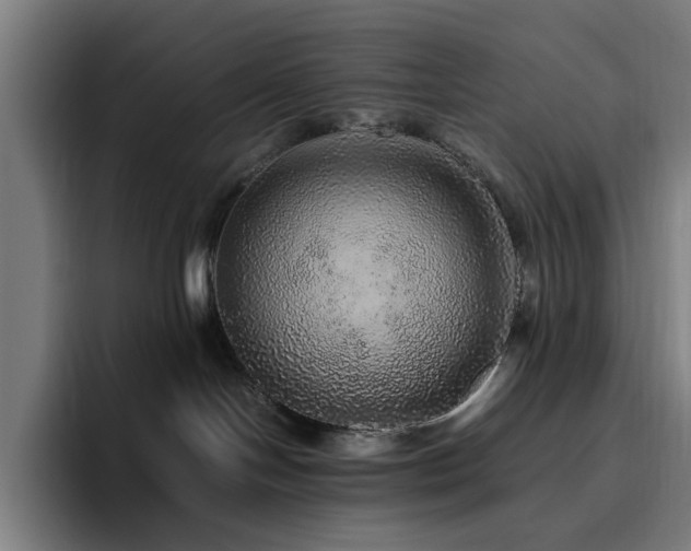 X0000094820094200711161536