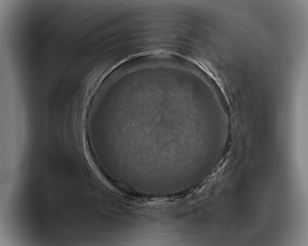 X0000094820097200711161536