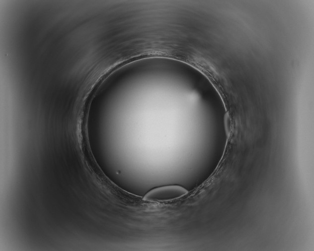 X0000094820098200711161536