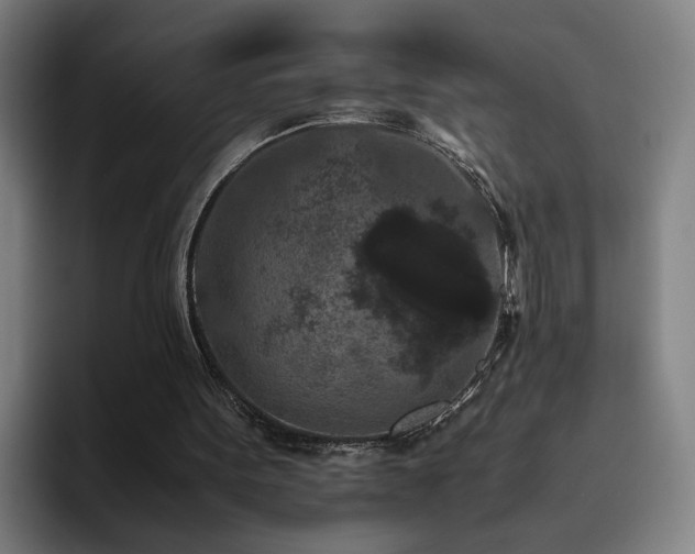 X0000094820099200711161536