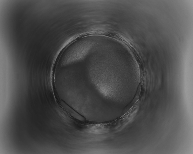 X0000094820100200711161536