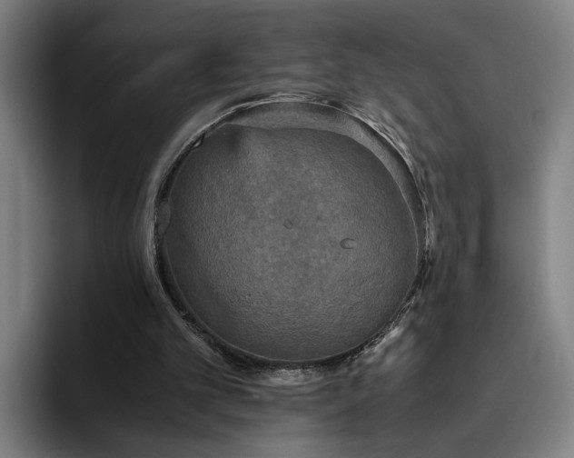 X0000094820101200711161536