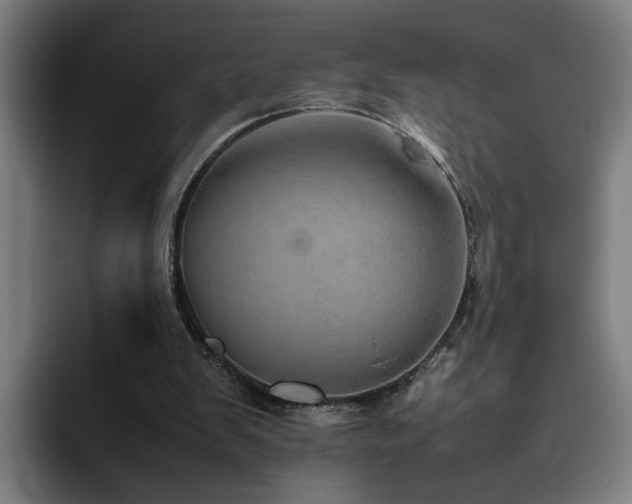 X0000094820103200711161536