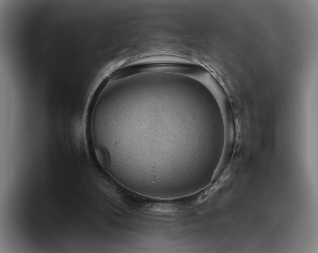 X0000094820104200711161536