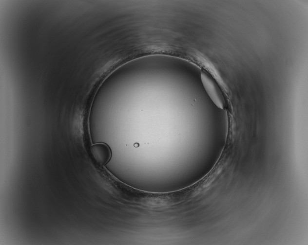 X0000094820106200711161536