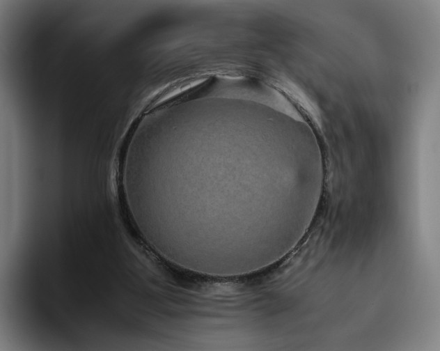 X0000094820107200711161536