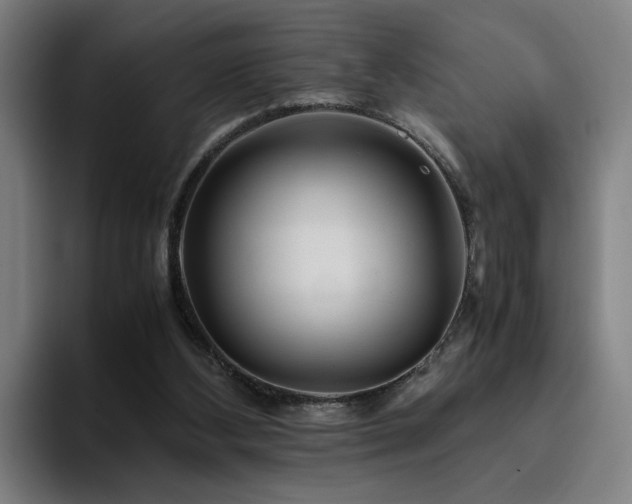 X0000094820108200711161536
