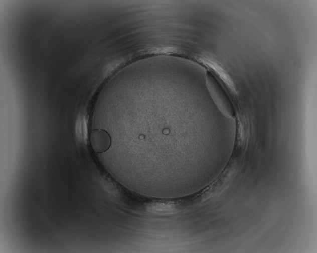 X0000094820110200711161536