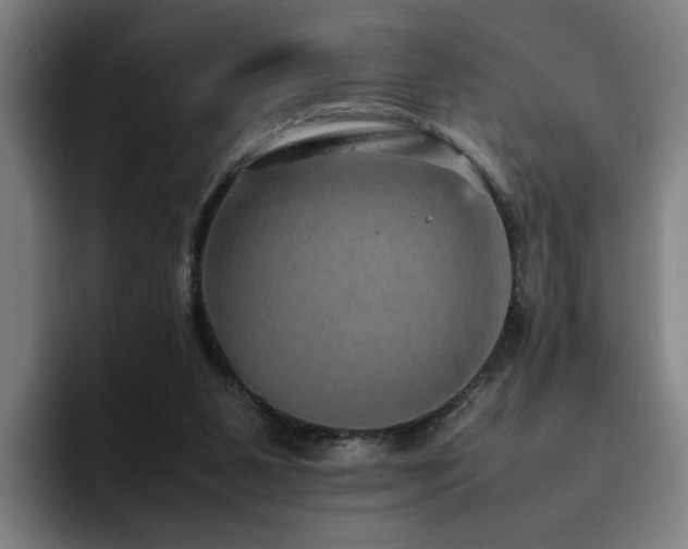X0000094820111200711161536
