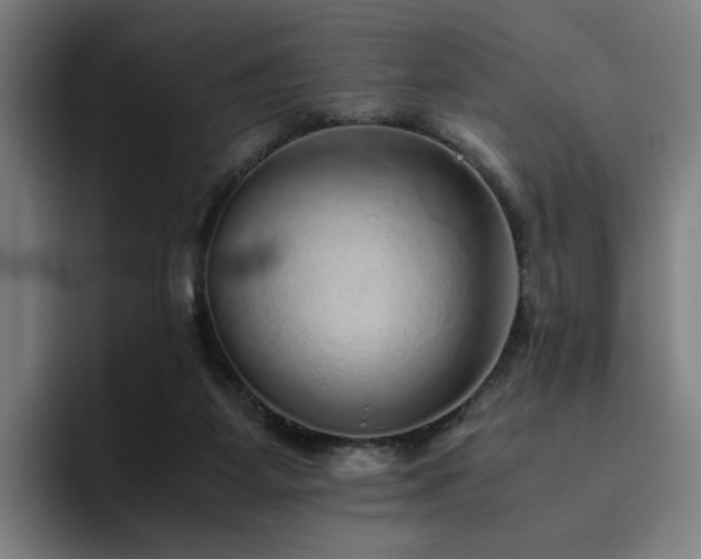 X0000094820115200711161536