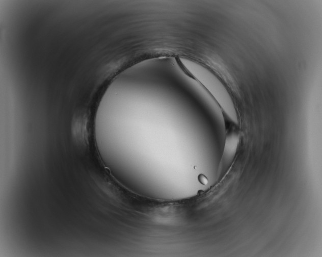 X0000094820116200711161535