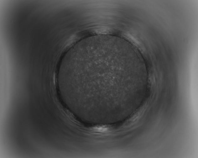 X0000094820117200711161535