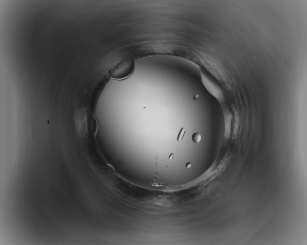 X0000094820120200711161535