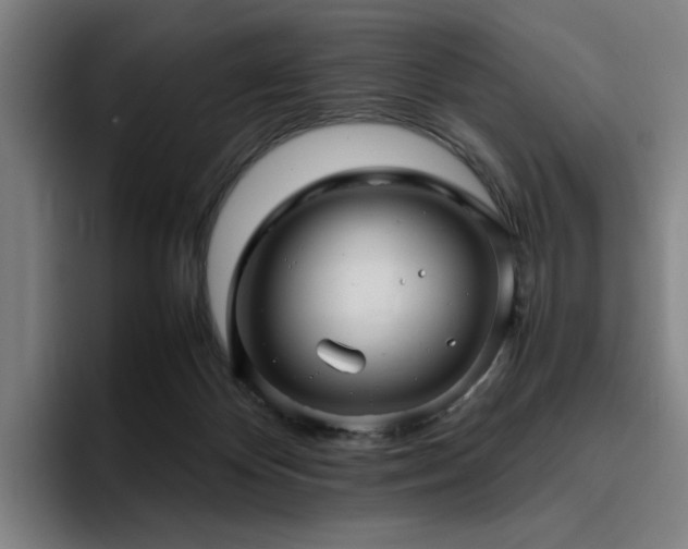 X0000094820124200711161535