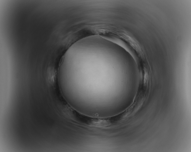 X0000094820125200711161535
