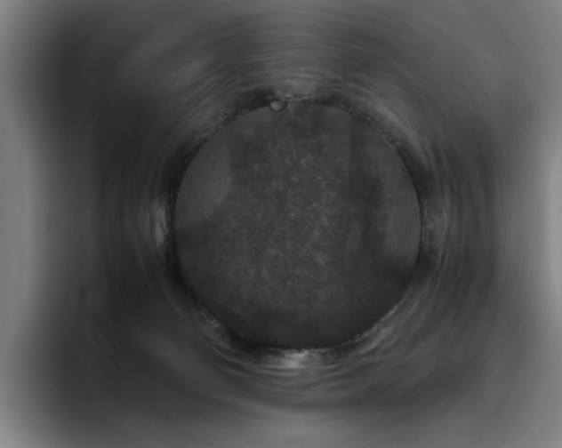 X0000094820130200711161535