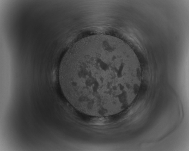 X0000094820131200711161535