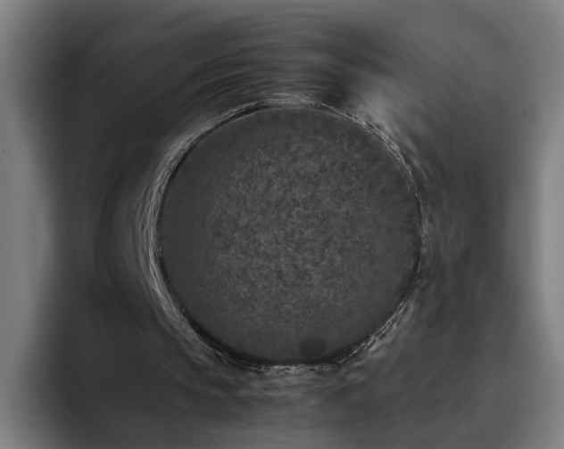 X0000094820145200711161535