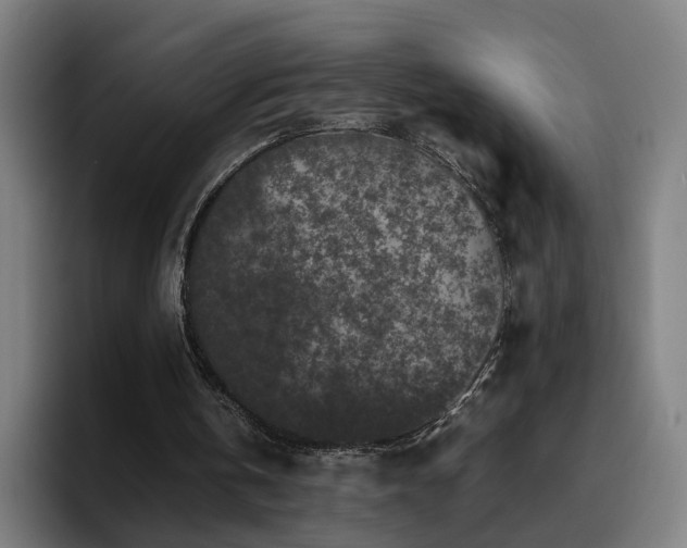 X0000094820146200711161535