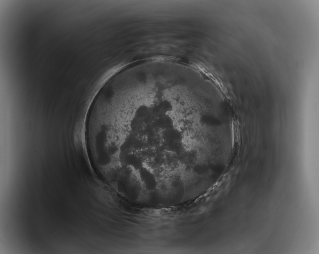 X0000094820147200711161535