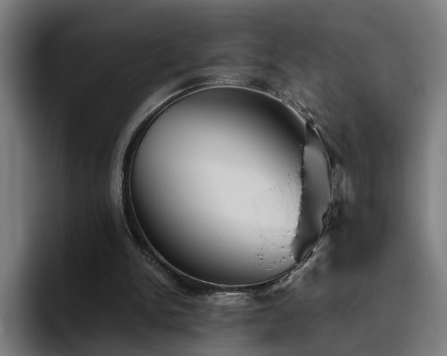 X0000094820150200711161535