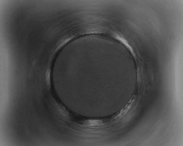 X0000094820154200711161535
